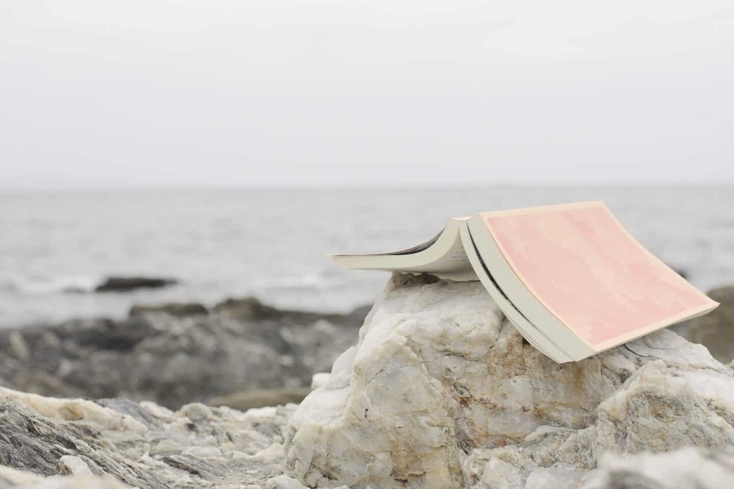 海で読書